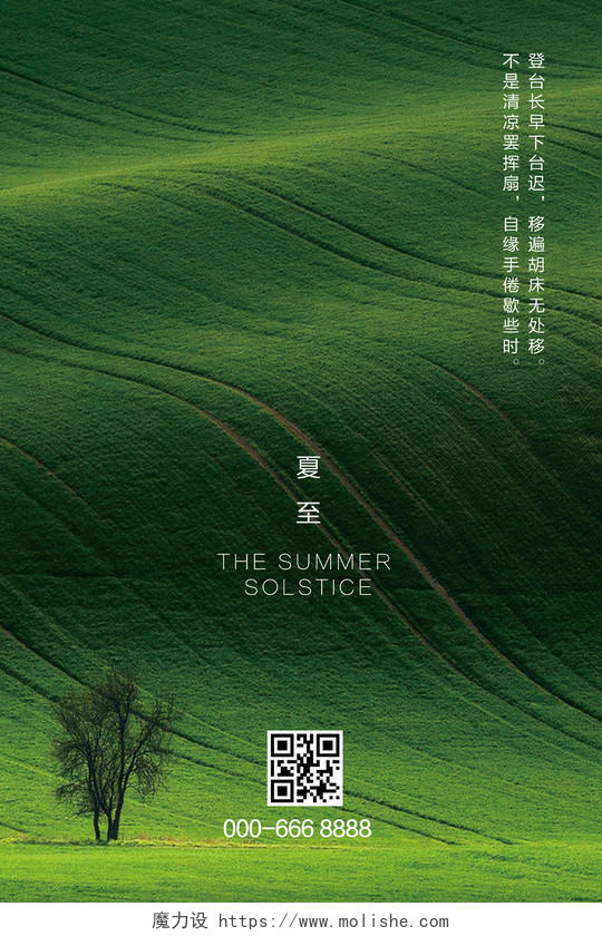 摄影实拍质感绿色草原夏至节气海报设计
